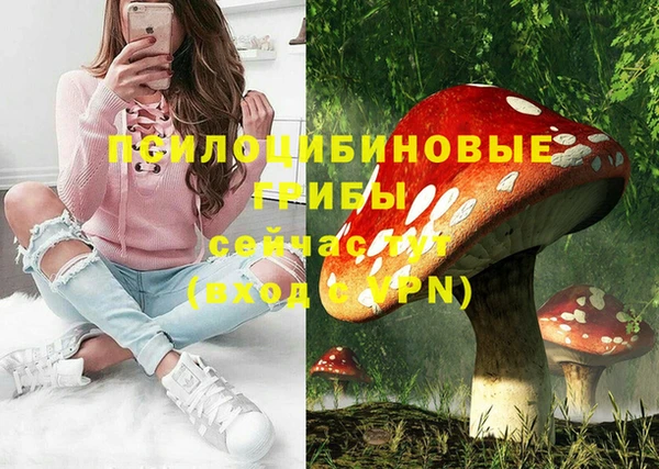 прущая мука Богданович