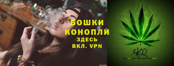 крисы Богородск