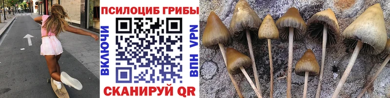 кракен как войти  Приволжский  Галлюциногенные грибы прущие грибы 